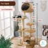 Arbre à Chat - Tour Tigrée