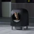 Litière Autonettoyante Intelligente pour Chats – Avec App & Filtre, Noir & Blanc